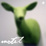 Trickski Motel