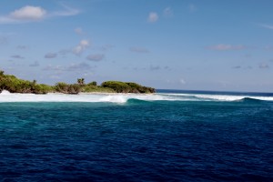 IMG_7036