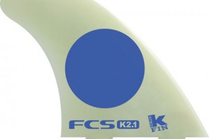 FCS Fin k21